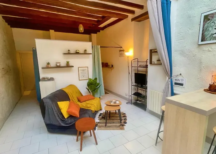 Studio Cosy Hypercentre Terrasse