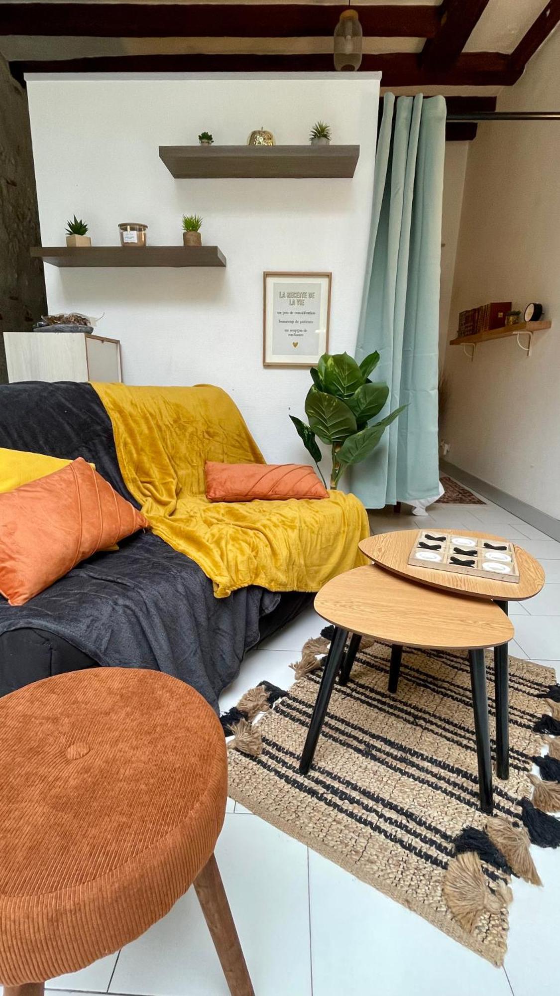 Cosy Hypercentre Terrasse Apartment Blois